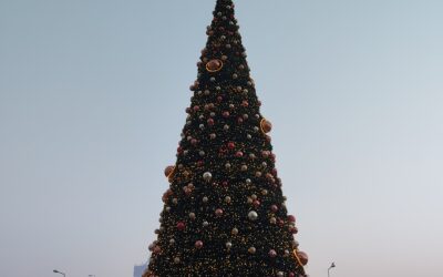 O styczniu – gdy ręka jeszcze sięga po ciastka