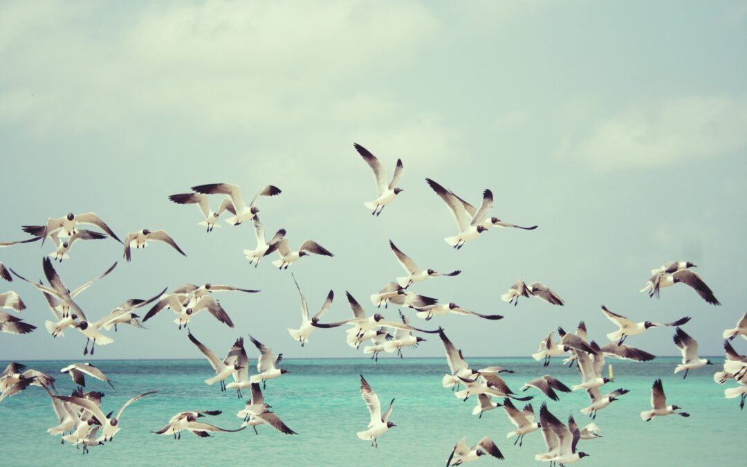 Jak utrzymać spokojny lot, by nie upaść? O pracy z własnymi myślami